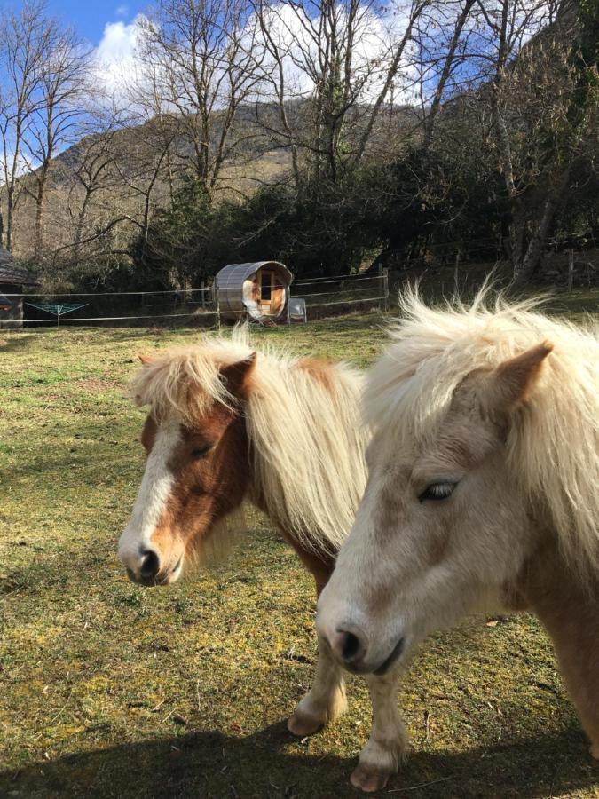 Wigwam, séjour ecolo glamping Frechet-Aure Esterno foto